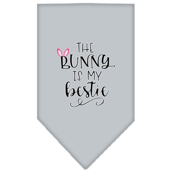 Mirage Pet Products Bunny is My Bestie Screen Print BandanaGrey Small 66-186 SMGY